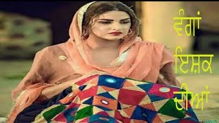 Download Lagu Sardar Ali wanga ishq diyan nakodar live || baba Murad Shah Nakodar || wanga ishq diya || ladi shah MP3