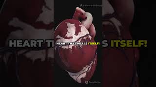 Can The Human Heart Regenerate Science In 20 Sec