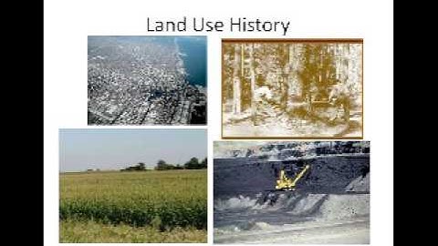 Ecology Basics for Landscapers and Designers Part 1 of 2