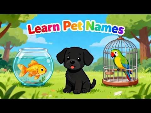 My Favourite Pets Cat Dog | Educational Toddler Learning Video | Baby Cartoon Kids Songs & Rhymes