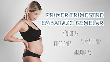 ¿Los embarazos gemelares requieren reposo en cama?