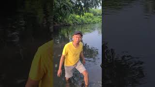 Lintah penghisap darah