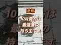 【強力です】貴方は、最強運の持ち主です!!おめでとうございます🎊最高の奇跡をありがとうと記入し、締めくくって下さい。引き寄せが始まります✨ #スピリチュアル #開運 #遠隔参拝 #波動