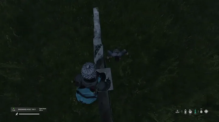 DayZ_wtf