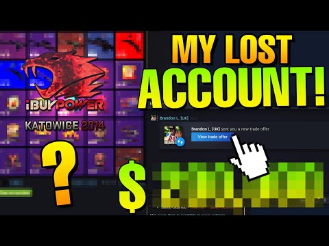 Wie viel GELD befindet sich auf meinem ALTEN BRANDON L. STEAM ACCOUNT? | biBa 2nd Inventory