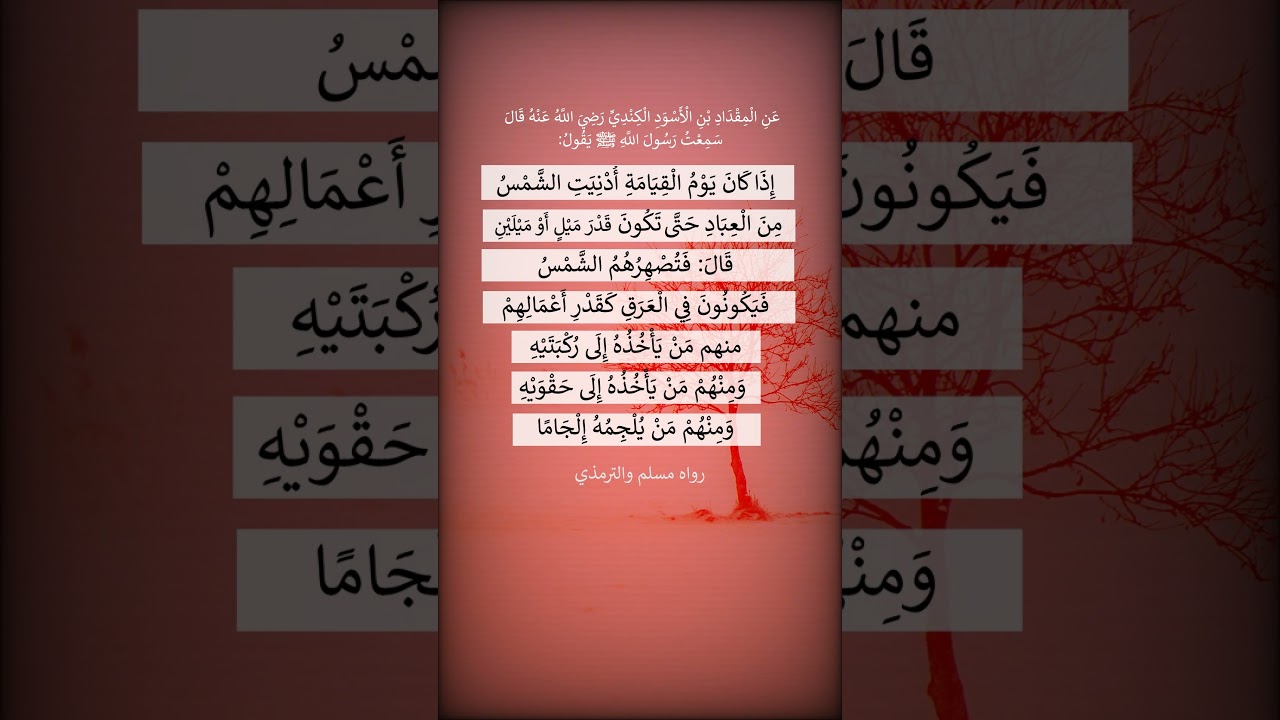 إذا كان يوم القيامة أدنيت الشمس من العباد = الشيخ عبد الرزاق البدر