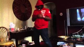 stanthemans harlem shake