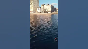 تتر حدائق الشيطان محمود الشعراوي مكتب شعبيات للحفلات 
