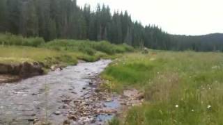 Fly-fishing