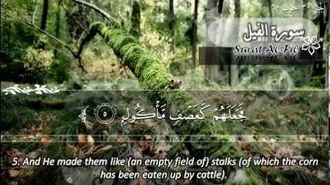 سورة الفيل ماهر المعيقلي Sûrat Al Fil Maher Al Muaiqly
