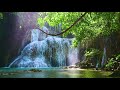 Thailand waterfall vibes sounds of nature and waterfall in the wild jungle asmr ambience 4k