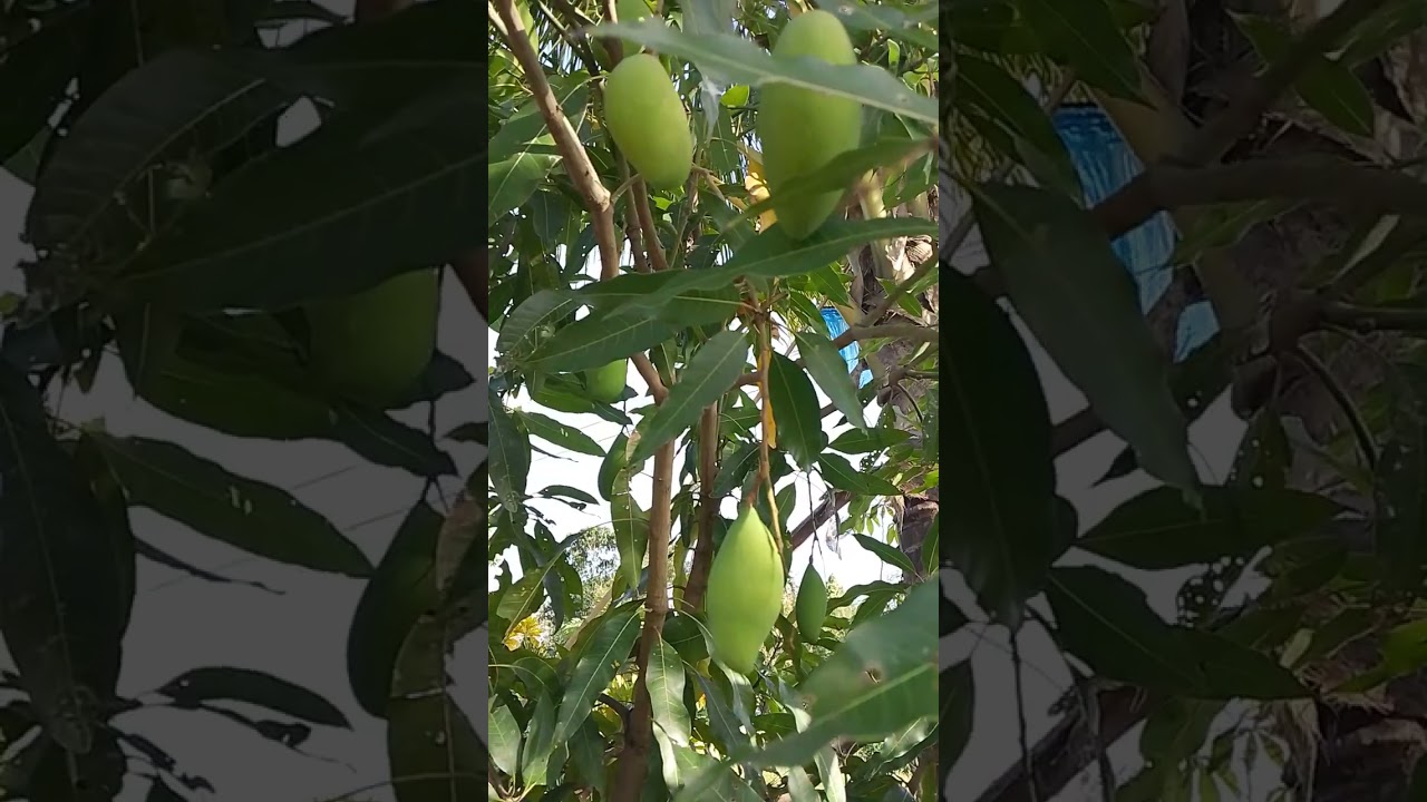 23 กุมภาพันธ์ ค.ศ. 2026