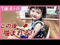 #1歳4ヶ月　箱の中で噛まれる【しずくりっぷ】
