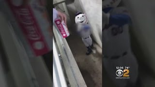 Mr. Met Gives Fans The Finger