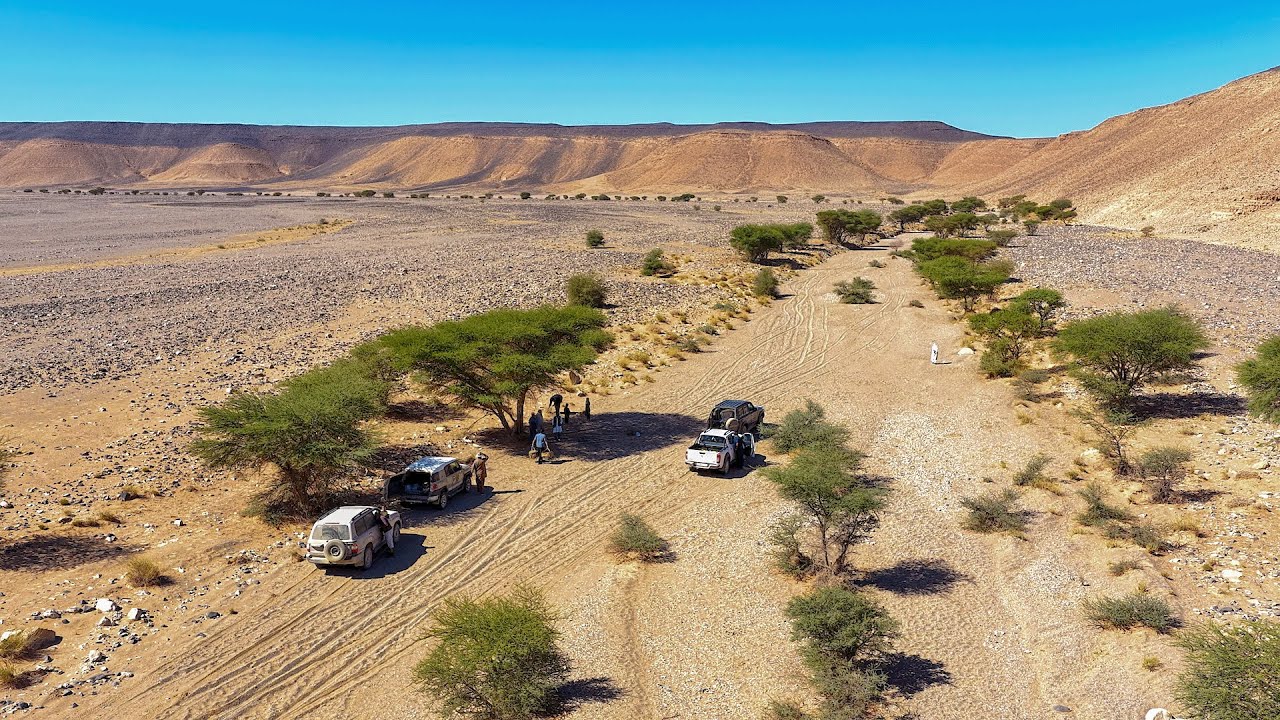 اكتشاف مذهل لنقوش صخرية في وادي تاجنت تعود لآلاف السنين