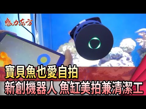 台灣-魅力東方-20200606 聚焦智慧裝備產業 溫州浙台合作重創意