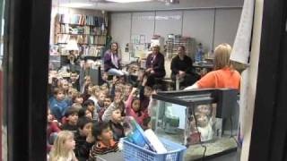 First Grade Science