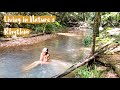 Daily Routines In The Australian Rainforest