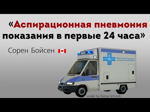 Аспирационная пневмония показания в первые 24 часа. Aspiration Pneumonia