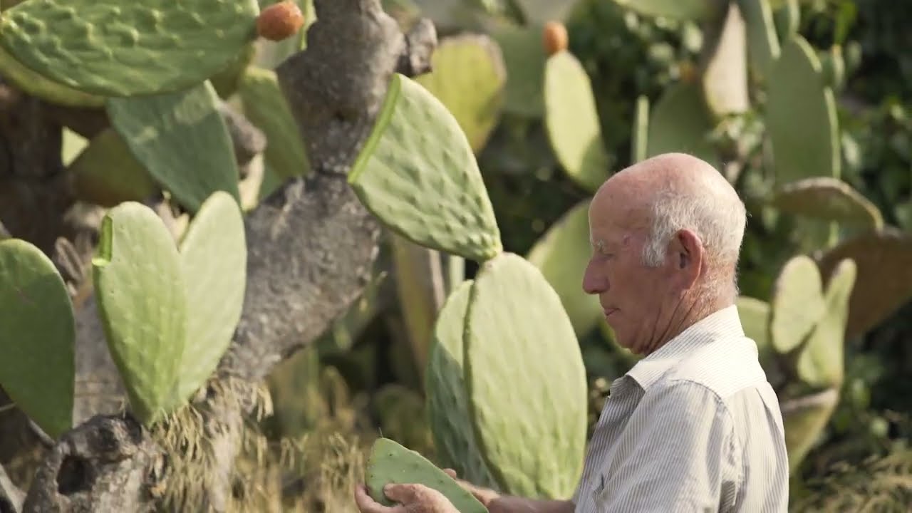 San Cono Prickly Pear Promo