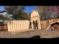 Tuff shed in 3 minutes!