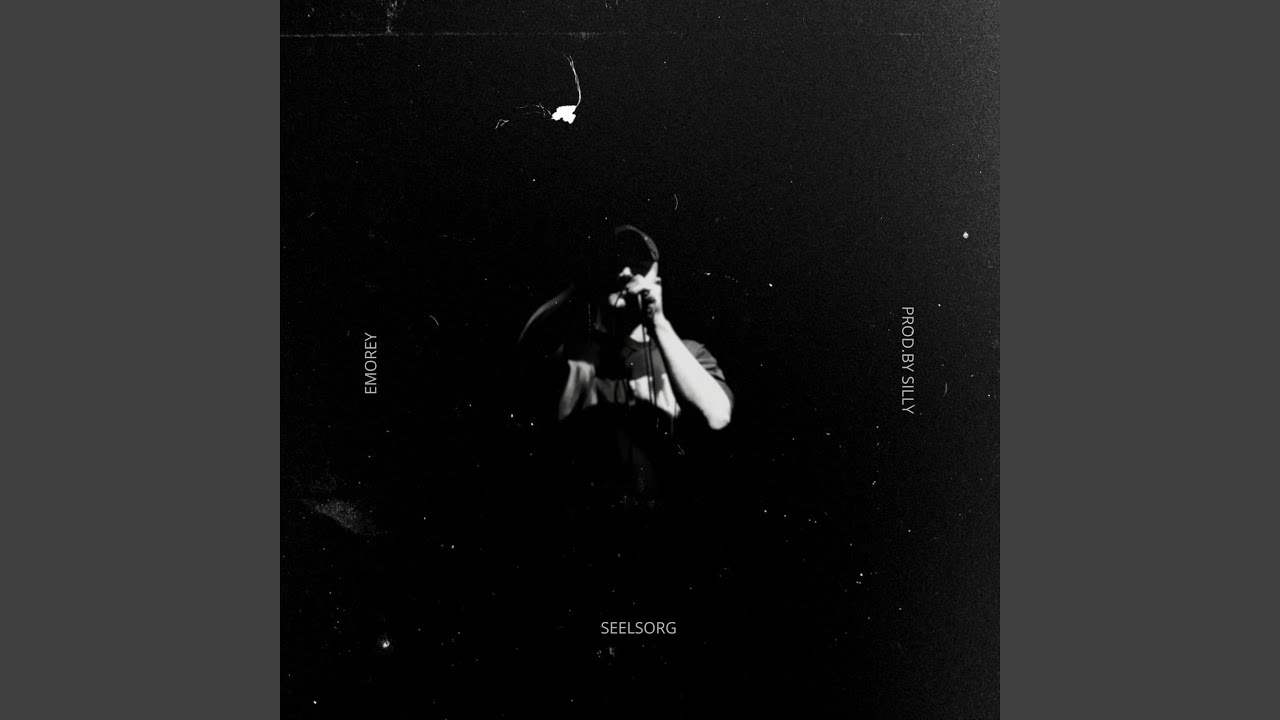 Watch SEELSORG on YouTube Watch SEELSORG on YouTube