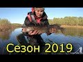 Троллинг 2019 Открытие сезона Рыбалка на щуку 2019