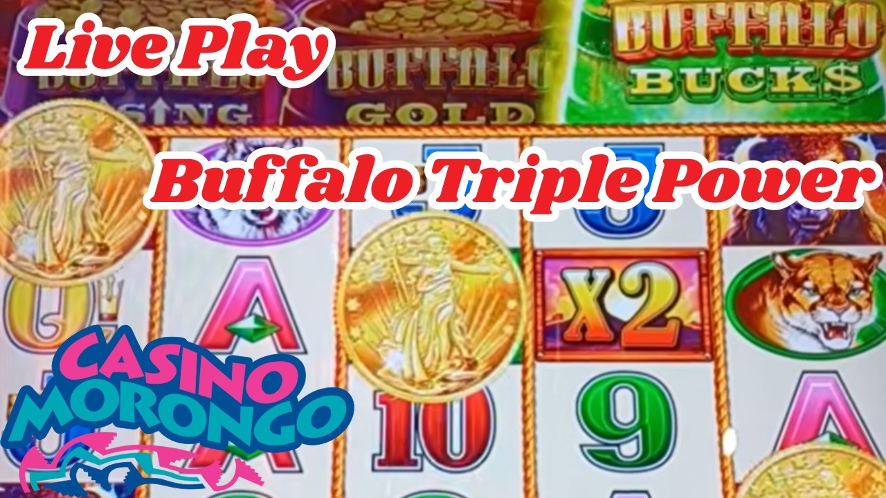 Buffalo Triple Power Live Play