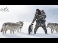 30 Year Old Man and Child Save Penguin Couple from Wolves attacking in -71°C Blizzard
