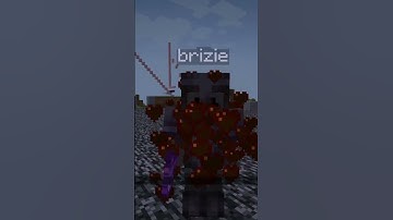 avg fight between 2 hackers       #minecraft #hacker