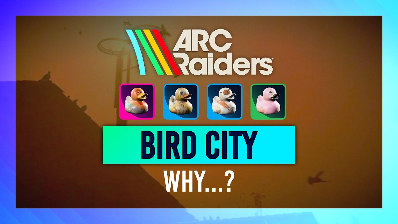 Bird City: прибыль или проигрыш? | Подробный анализ, распределение добычи и многое другое