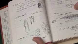 Lawrence E. Gilbert Excerpt: Notebooks from OTS 1963 Fundamentals and 1969 Advanced Courses
