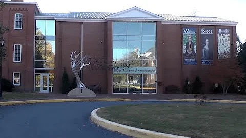 The Biggs Museum's "Visions and Voices" exhibition