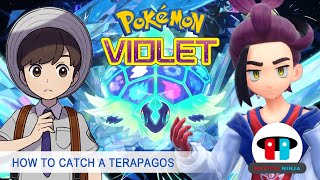 How to defeat Kieran (BB League Champion) and catch Terapagos (Pokemon Scarlet and Violet)