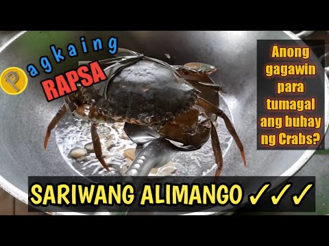 Video: Paano Panatilihing Buhay Ang Crayfish