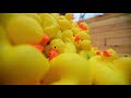 2018 AdironDuck Race