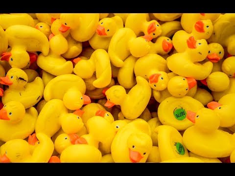 2018 AdironDuck Race watertown wisconsin