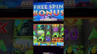 Old school gorilla game bonus feature at Twin Pines