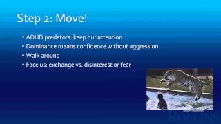 Famous Mini-Lecture: Presentation Dos and Donts Net Worth