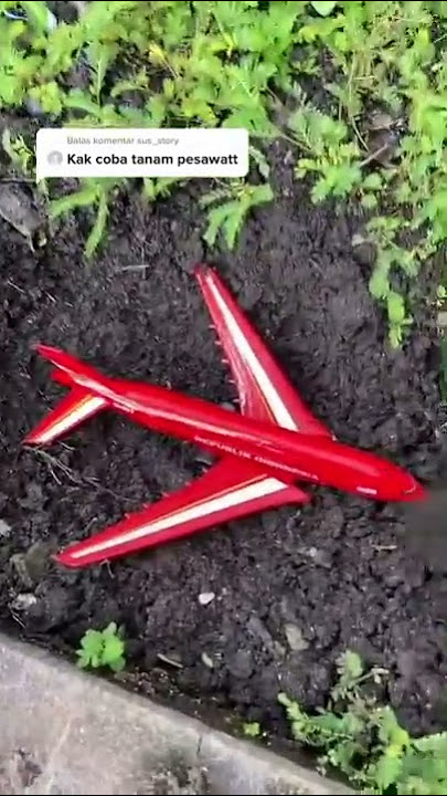 Plant the Plane - tiktok Susanto Gouw #shorts