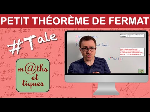 Vidéo: Comment fais-tu le petit théorème de Fermat ?