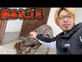 愛犬に鹿の角を与えたら怒られた
