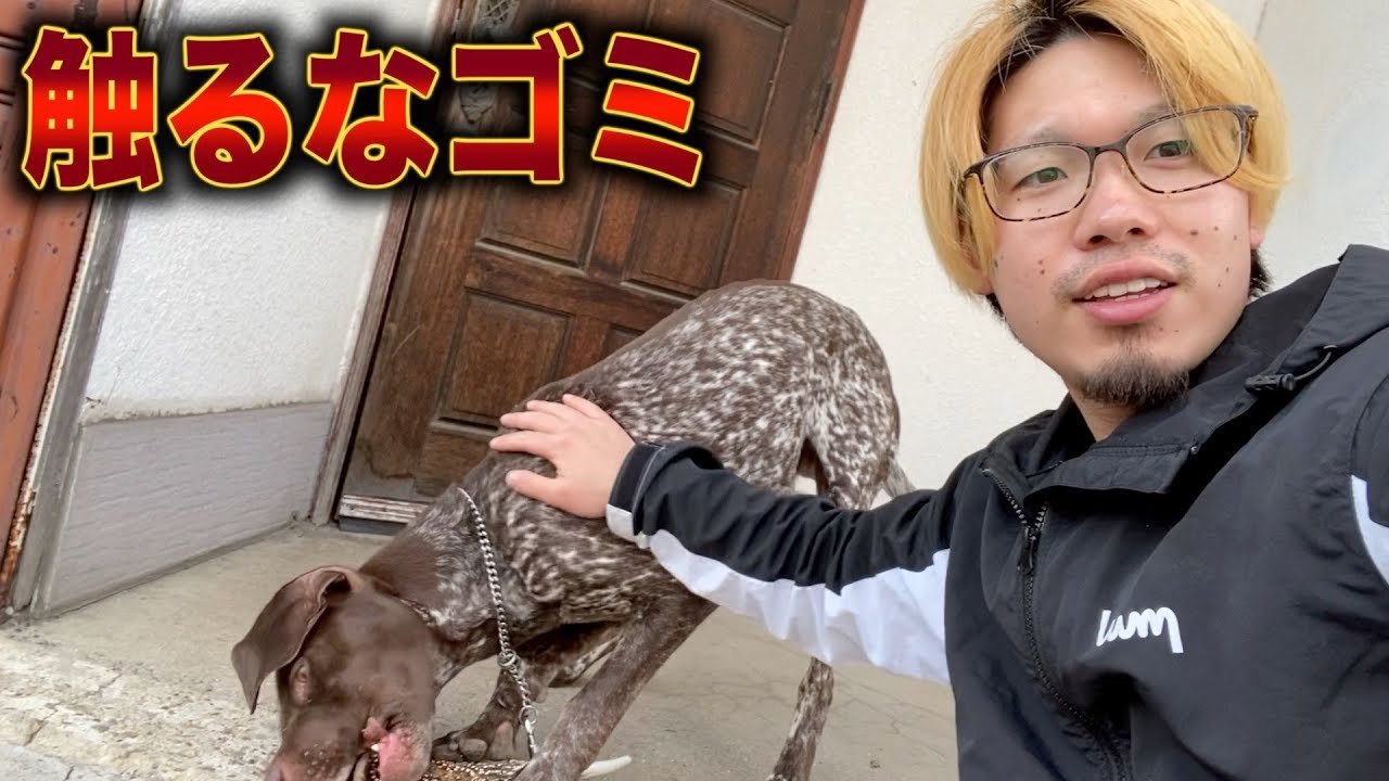 だい マナル隊 Youtube Channel Analytics And Report Powered By Noxinfluencer Mobile