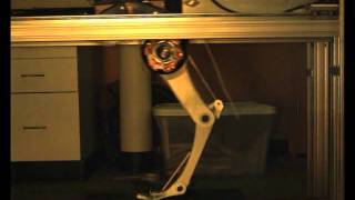 Retraction Jump - 20kg 2D platform with front leg