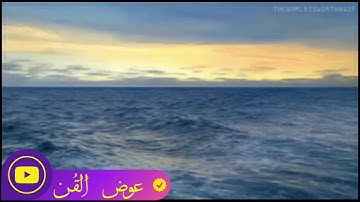 ما تيسر من سورة "الفجر" (يا أيتها النفس المطمئنة ارجعي إلى ربك راضية مرضية...) القارئ عوض القن