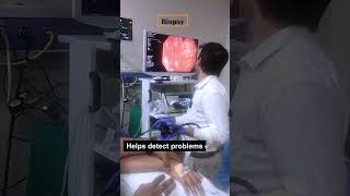 Upper GI Endoscopy & Biopsy: Safe, Precise & Early Diagnosis