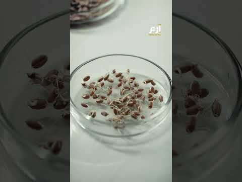 فرنسا تقيد استخدام أحد أكثر مبيدات الأعشاب استخداما لخطورتها على الأطفال