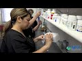 Train for a career as a Pharmacy Technician at SJVC