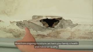 Celebrity Can a small leak cause major damage in Dallas, TX? Wealth