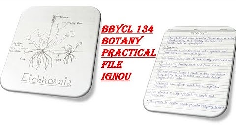 BBYCL 134 Botany Practical File ignou